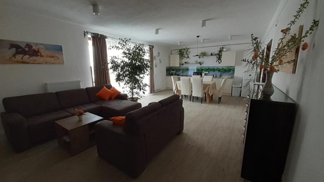 Bibic Apartman A Kapolnasnyek Exterior photo